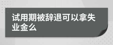 试用期被辞退可以拿失业金么