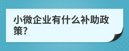 小微企业有什么补助政策?