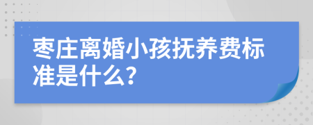 枣庄离婚小孩抚养费标准是什么？