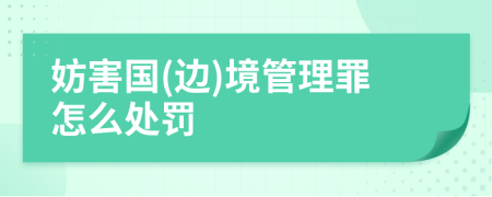 妨害国(边)境管理罪怎么处罚