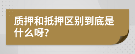 质押和抵押区别到底是什么呀？