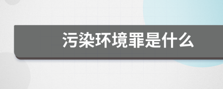 污染环境罪是什么