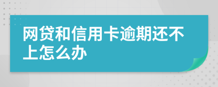 网贷和信用卡逾期还不上怎么办