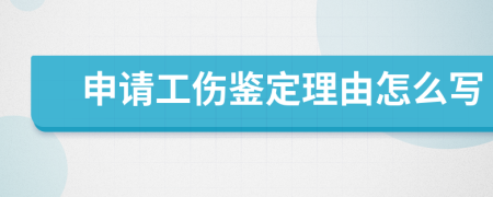 申请工伤鉴定理由怎么写