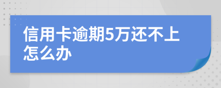 信用卡逾期5万还不上怎么办