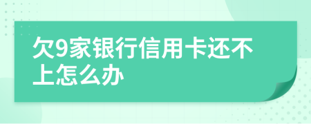 欠9家银行信用卡还不上怎么办