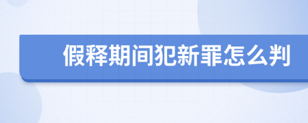 假释期间犯新罪怎么判