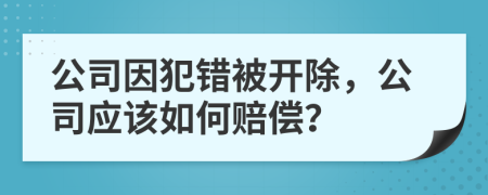 公司因犯错被开除，公司应该如何赔偿？