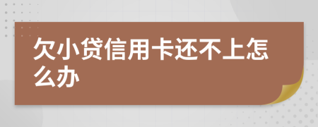 欠小贷信用卡还不上怎么办