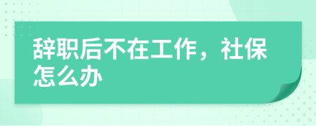 辞职后不在工作，社保怎么办
