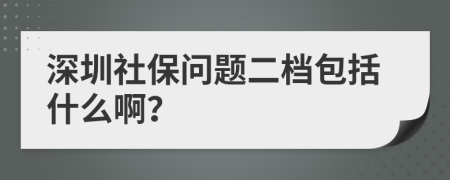深圳社保问题二档包括什么啊？