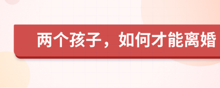两个孩子，如何才能离婚
