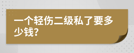 一个轻伤二级私了要多少钱？