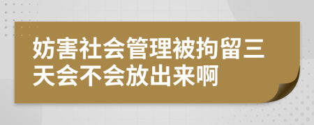 妨害社会管理被拘留三天会不会放出来啊