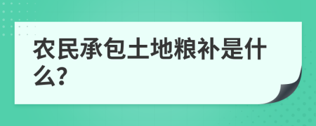 农民承包土地粮补是什么？