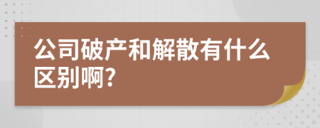 公司破产和解散有什么区别啊?