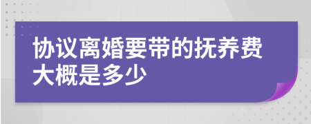 协议离婚要带的抚养费大概是多少