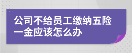 公司不给员工缴纳五险一金应该怎么办