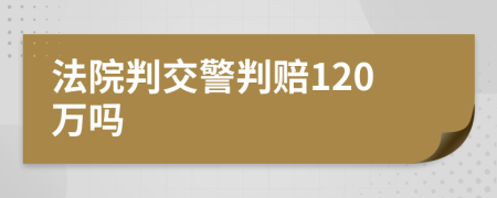 法院判交警判赔120万吗