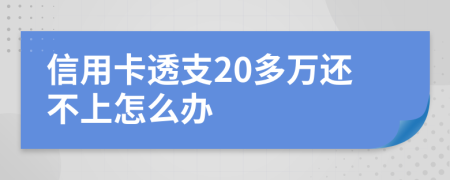 信用卡透支20多万还不上怎么办
