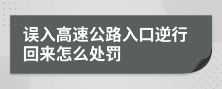 误入高速公路入口逆行回来怎么处罚