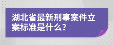 湖北省最新刑事案件立案标准是什么？