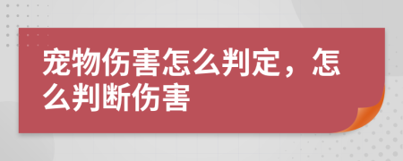 宠物伤害怎么判定，怎么判断伤害