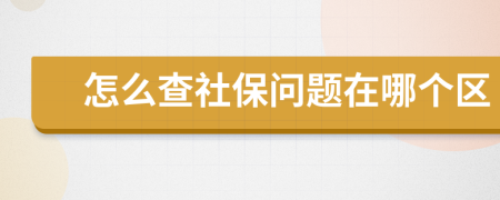 怎么查社保问题在哪个区