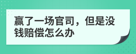 赢了一场官司，但是没钱赔偿怎么办