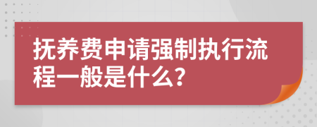 抚养费申请强制执行流程一般是什么？