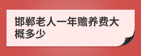 邯郸老人一年赡养费大概多少