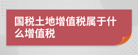 国税土地增值税属于什么增值税