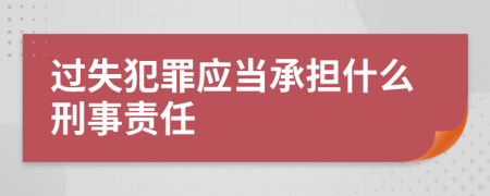 过失犯罪应当承担什么刑事责任