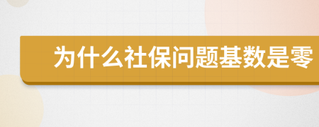 为什么社保问题基数是零