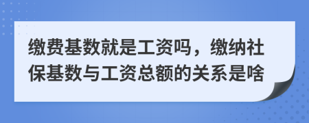 缴费基数就是工资吗，缴纳社保基数与工资总额的关系是啥