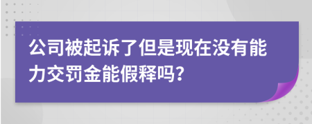 公司被起诉了但是现在没有能力交罚金能假释吗？