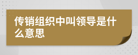 传销组织中叫领导是什么意思