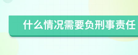 什么情况需要负刑事责任