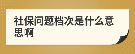 社保问题档次是什么意思啊