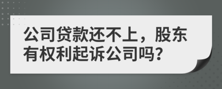 公司贷款还不上，股东有权利起诉公司吗？