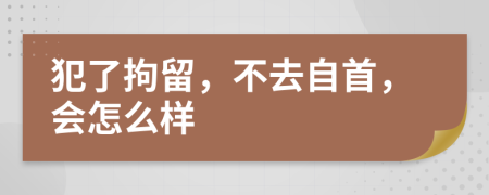 犯了拘留，不去自首，会怎么样