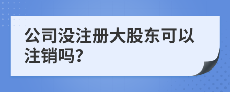 公司没注册大股东可以注销吗？