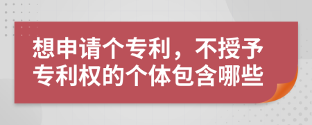 想申请个专利，不授予专利权的个体包含哪些