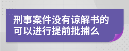 刑事案件没有谅解书的可以进行提前批捕么