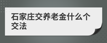 石家庄交养老金什么个交法