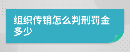 组织传销怎么判刑罚金多少