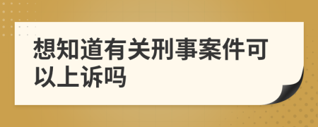 想知道有关刑事案件可以上诉吗