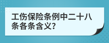 工伤保险条例中二十八条各条含义？