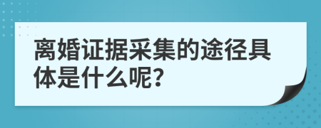 离婚证据采集的途径具体是什么呢？