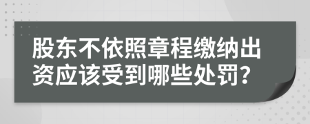 股东不依照章程缴纳出资应该受到哪些处罚？